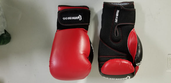 16 oz. Kickboxing Gloves